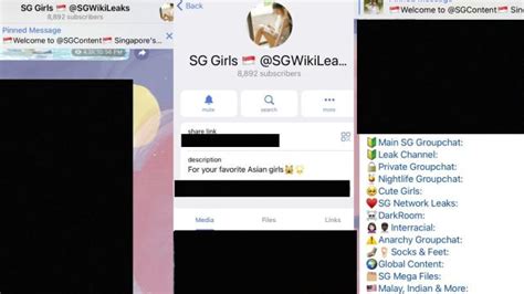 sg leak mega|Police probing Telegram group allegedly hosting。